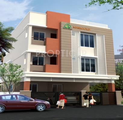 p-dot-g marigold Elevation Elevation