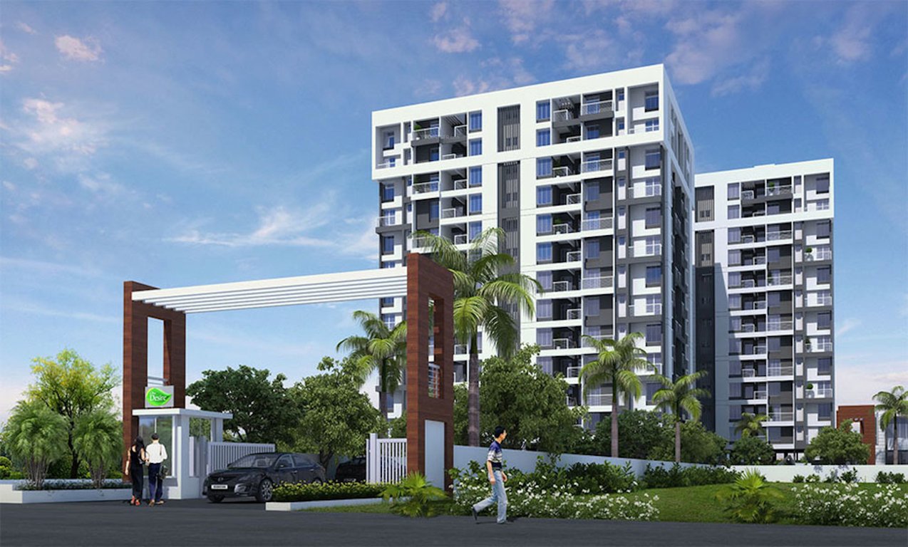 oxy desire Elevation