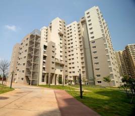  sattva-laurel-heights Elevation