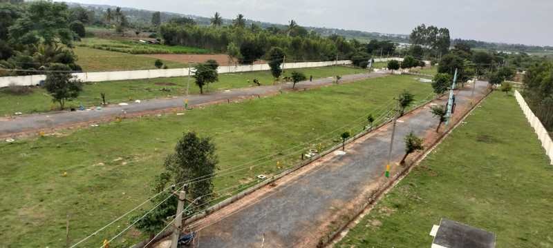  pearl valley Elevation