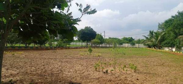 Others pearl-valley Others