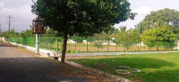 Others pearl-valley Others