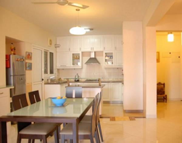 Images for Main Other of Aaiera Pelican