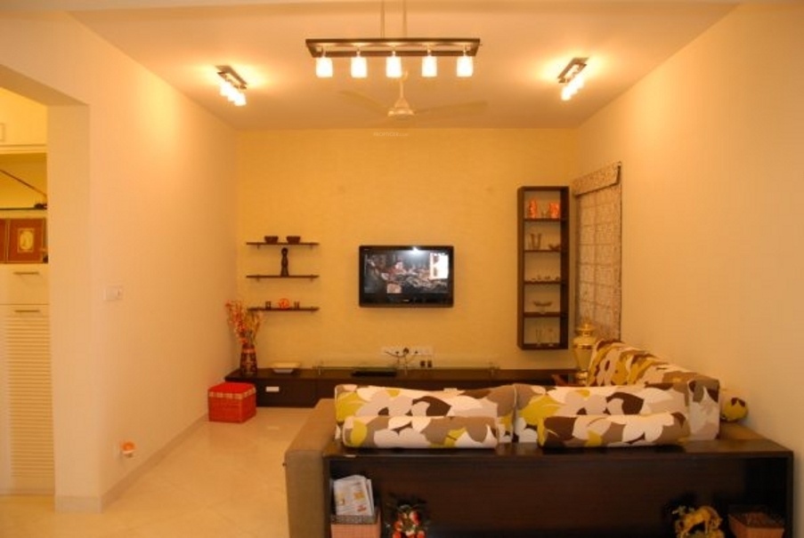 Images for Main Other of Aaiera Pelican