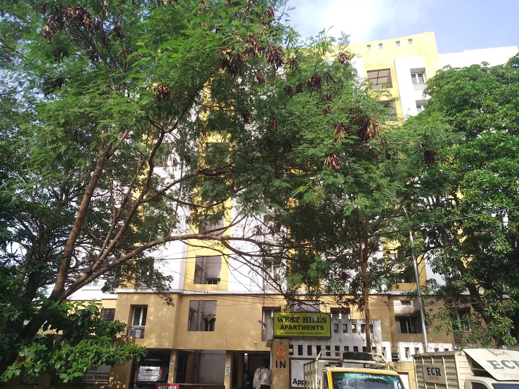 west hills Elevation