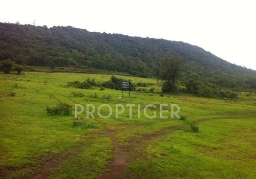 Images for Main Other of Lunkad Forestville