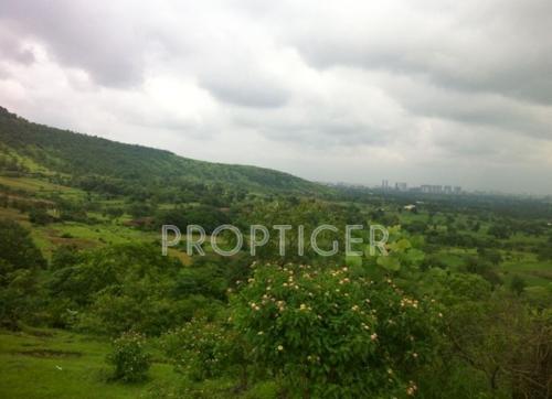 Images for Main Other of Lunkad Forestville