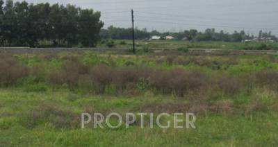 apni-dharti-developers satarupa Main Other