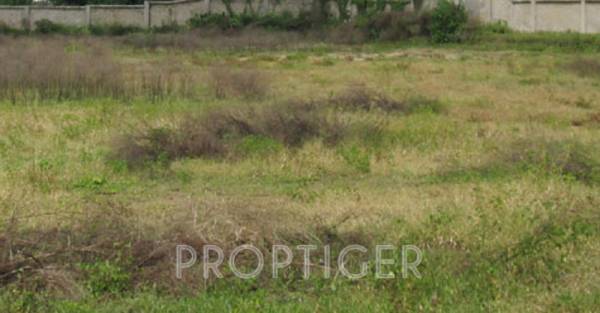 Main Other apni-dharti-developers satarupa Main Other