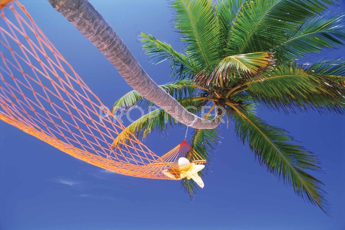 Images for Main Other of Purva The Waves