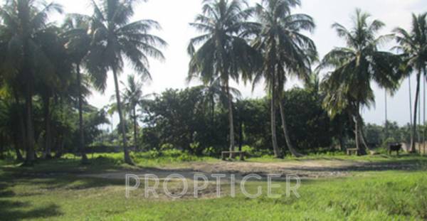 Images for Main Other of Apni Swapna Neer Images for Main Other of Apni Swapna Neer