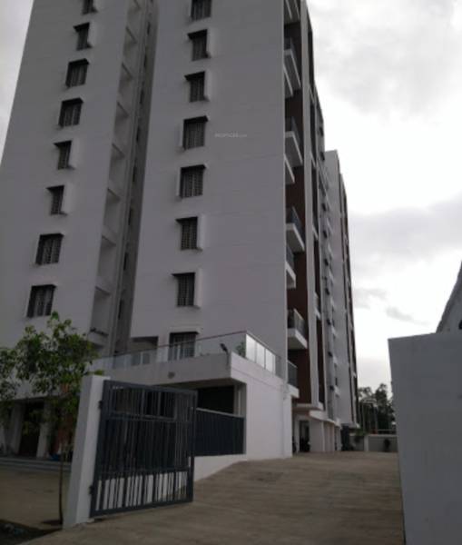 Images for Project purple Images for Project