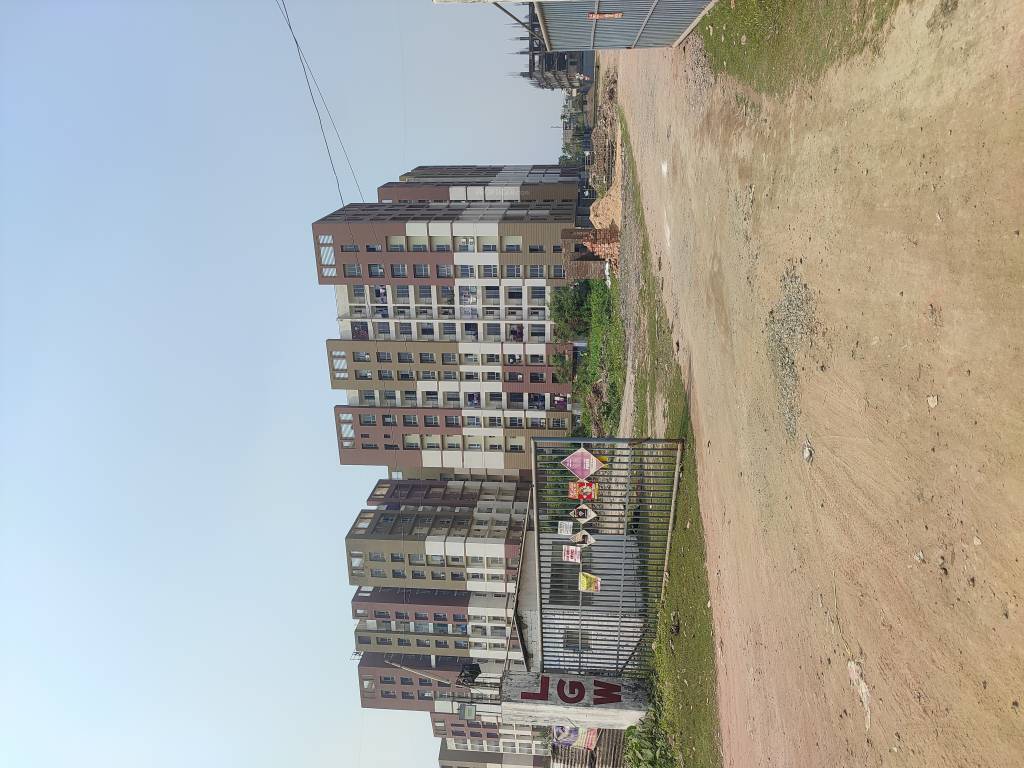 springfield Elevation