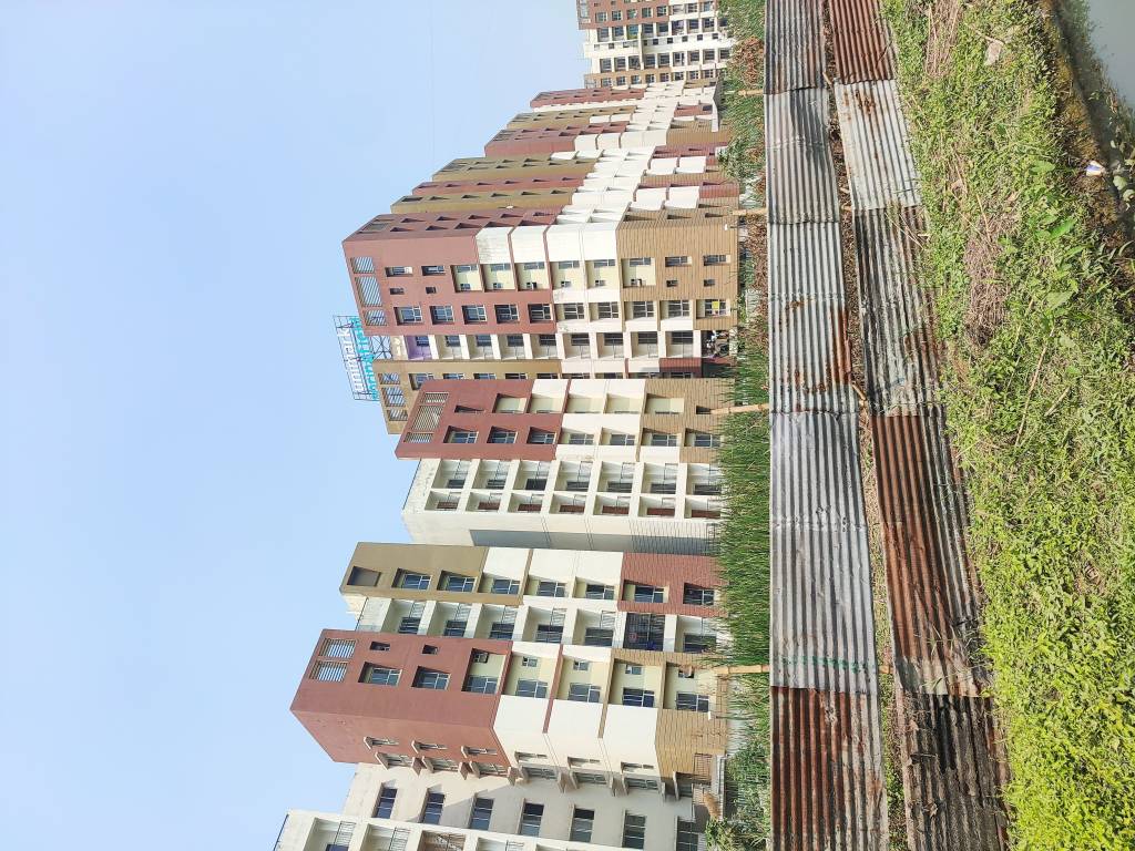 springfield Elevation