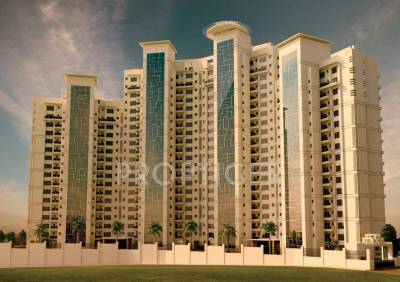 Images for Elevation of Menorah Alexandria