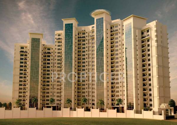 Images for Elevation of Menorah Alexandria Images for Elevation of Menorah Alexandria