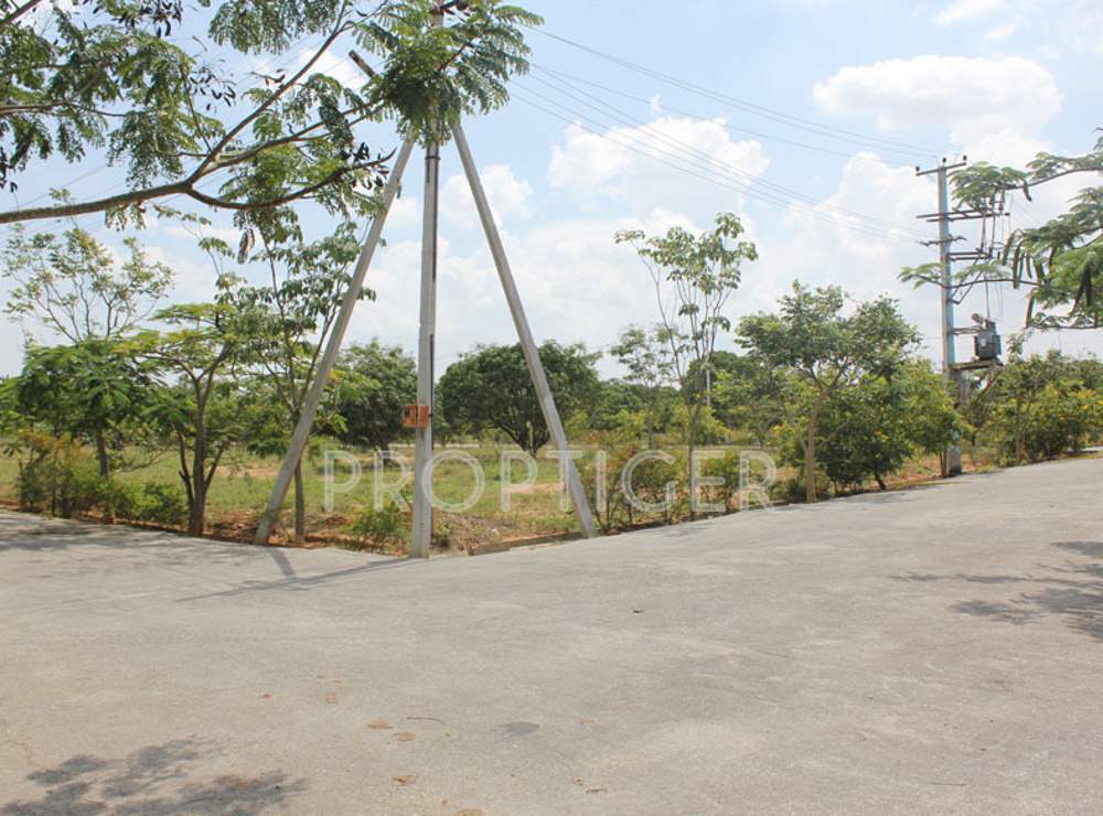 Images for Main Other of Highlife Asha Green Rich County