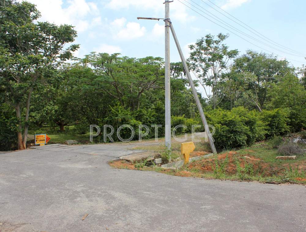 Images for Main Other of Highlife Asha Green Rich County