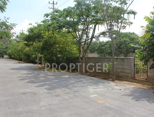 Images for Main Other of Highlife Asha Green Rich County