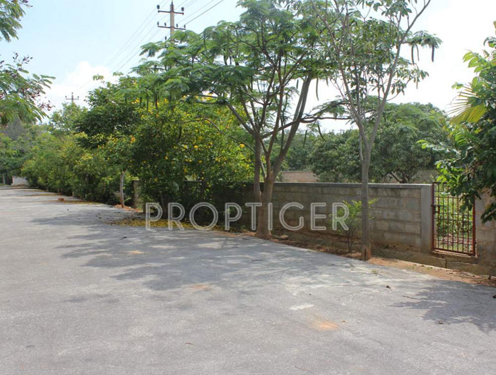 Images for Main Other of Highlife Asha Green Rich County