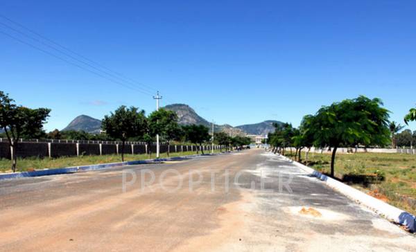 Images for Main Other of Highlife Nanda Gokula Images for Main Other of Highlife Nanda Gokula