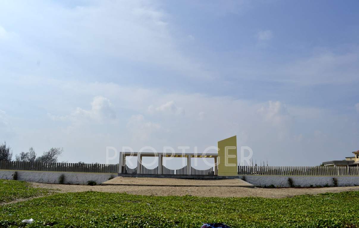 sands Images for Main Other of Olive Sands