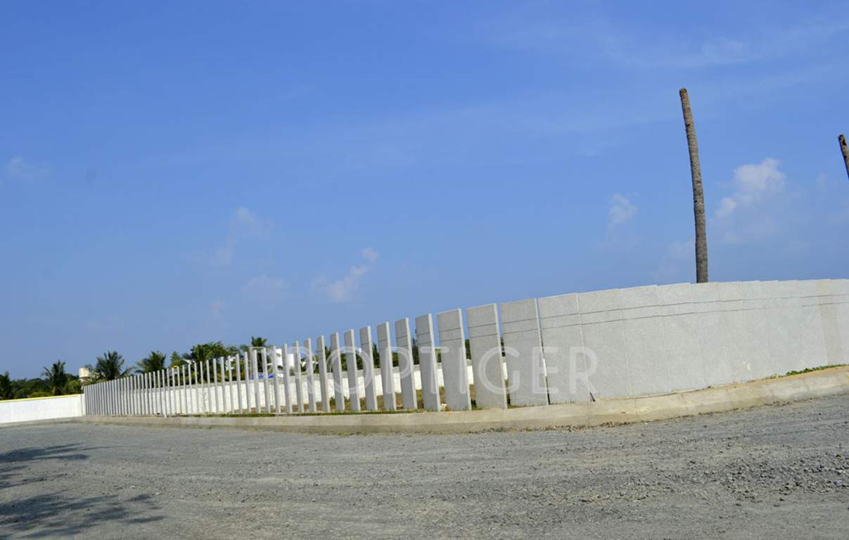 sands Images for Main Other of Olive Sands