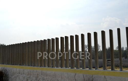  sands Images for Main Other of Olive Sands