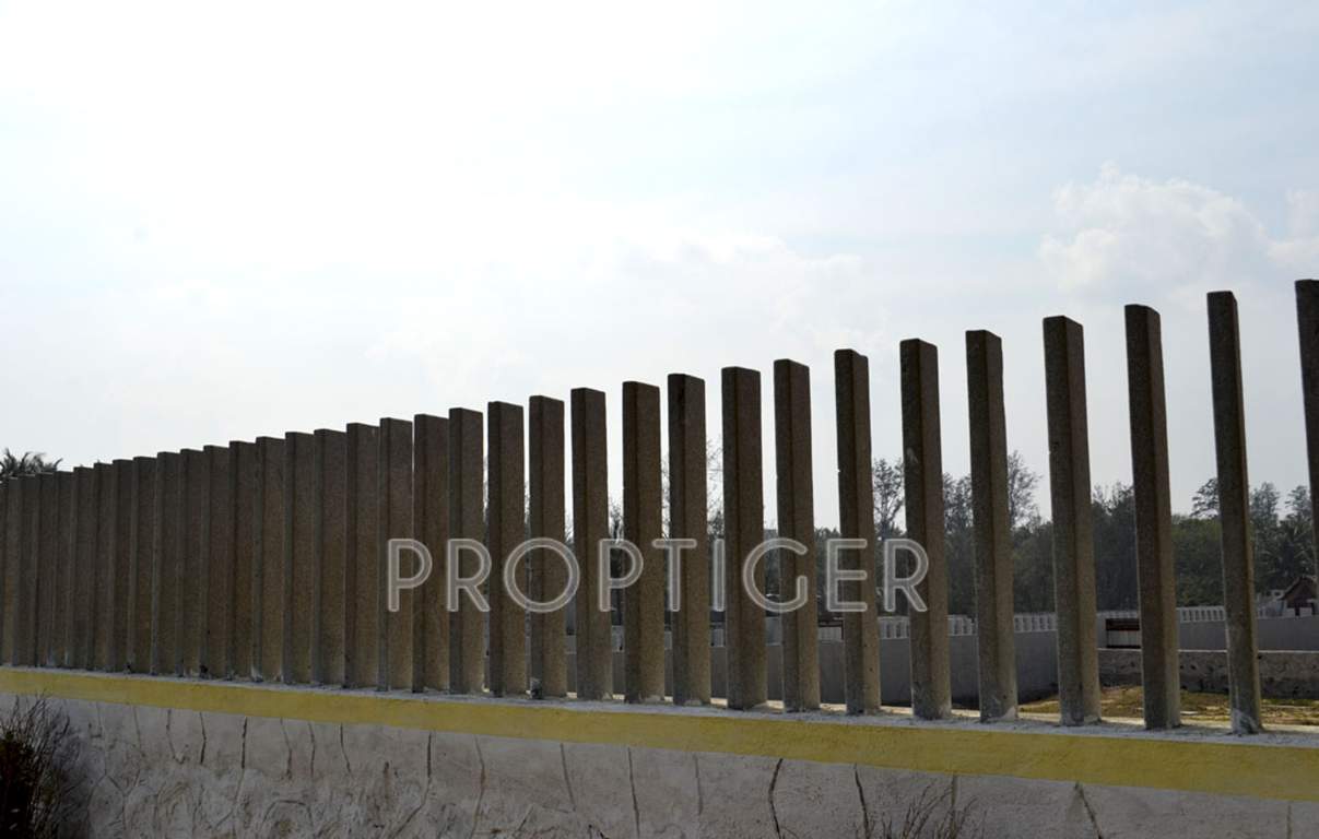 sands Images for Main Other of Olive Sands