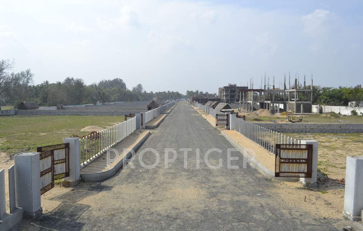 sands Images for Main Other of Olive Sands