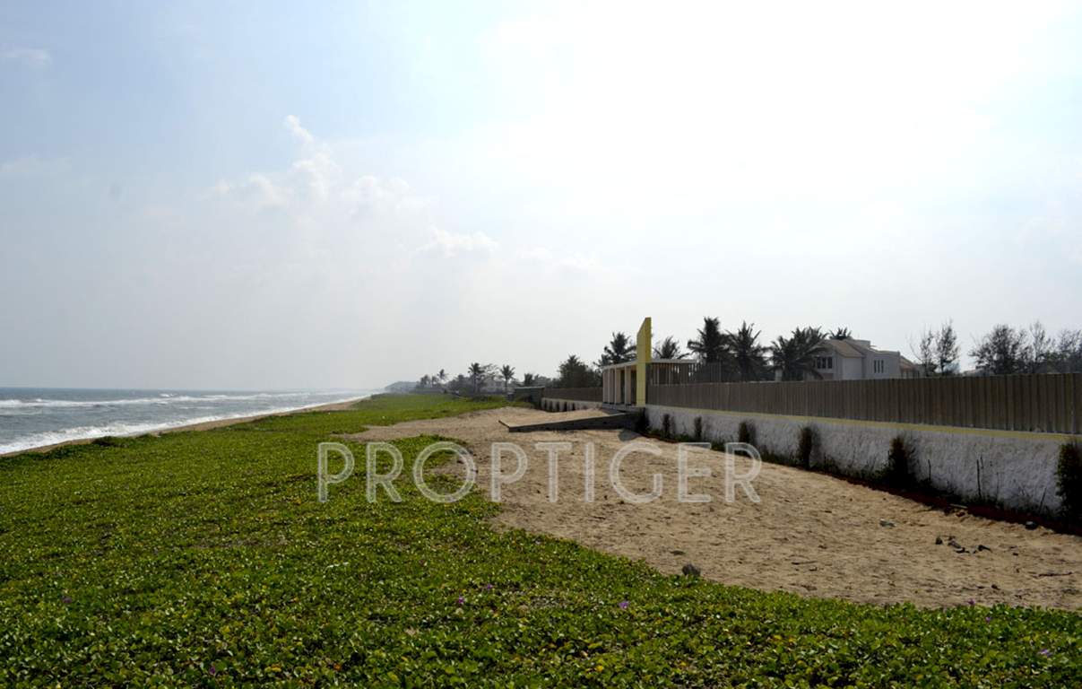 sands Images for Main Other of Olive Sands