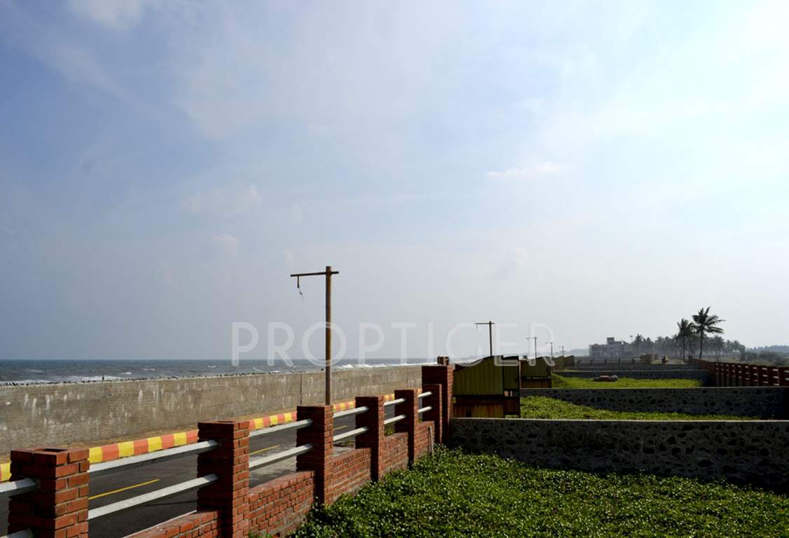  island Images for Main Other of Olive Island