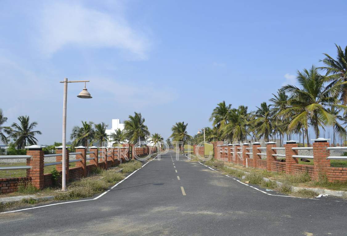  island Images for Main Other of Olive Island