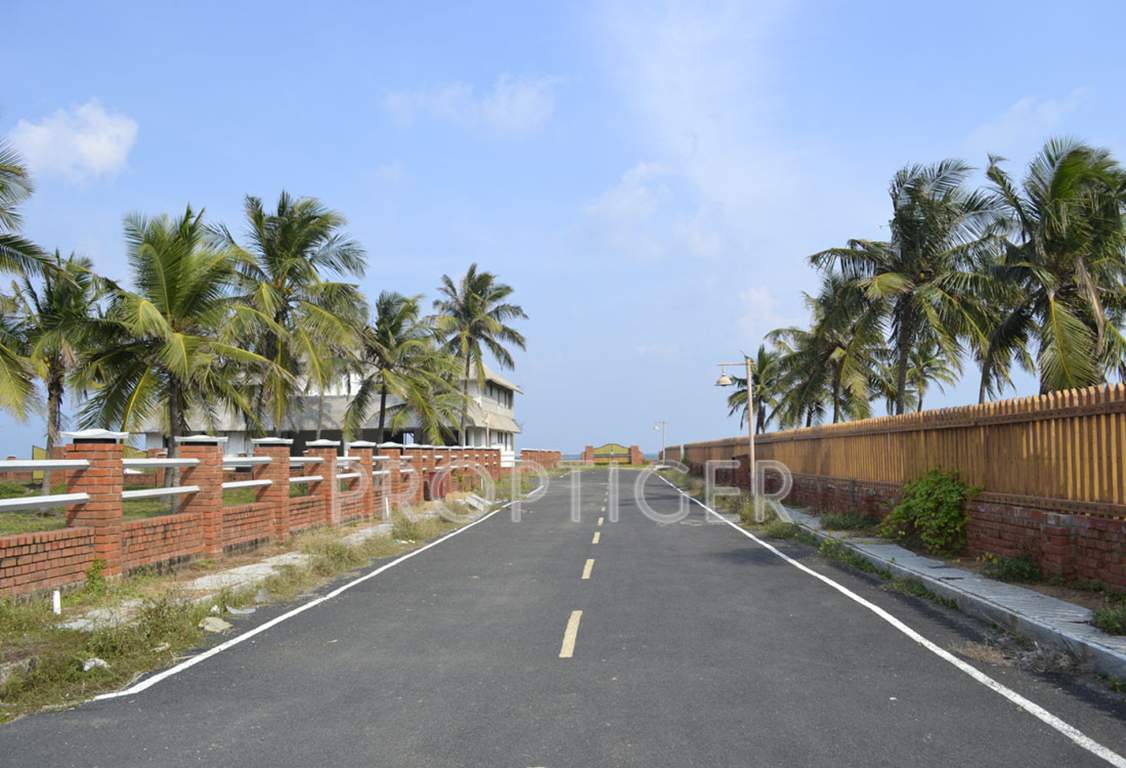  island Images for Main Other of Olive Island