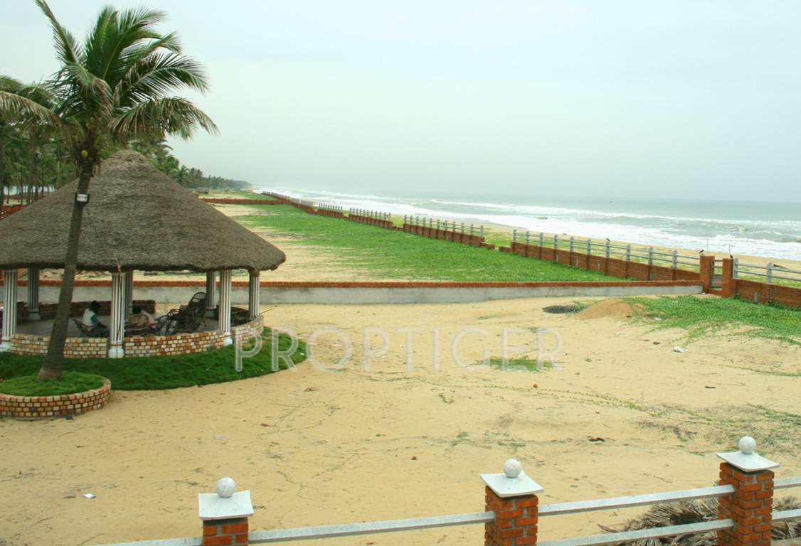  island Images for Main Other of Olive Island