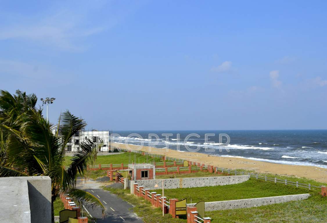  island Images for Main Other of Olive Island