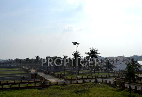  island Images for Main Other of Olive Island