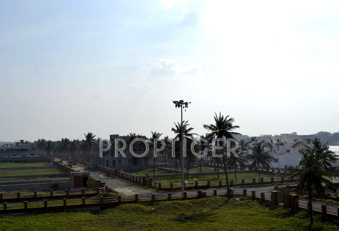  island Images for Main Other of Olive Island