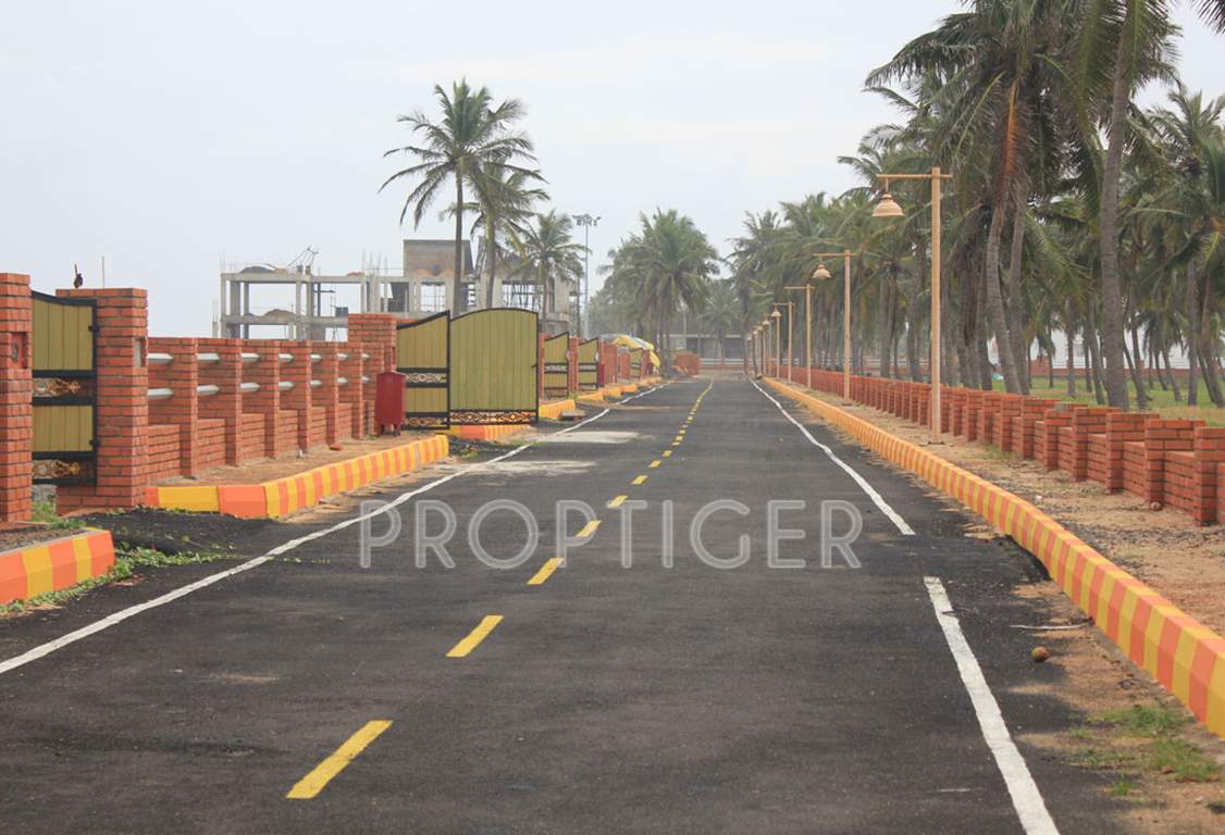  island Images for Main Other of Olive Island