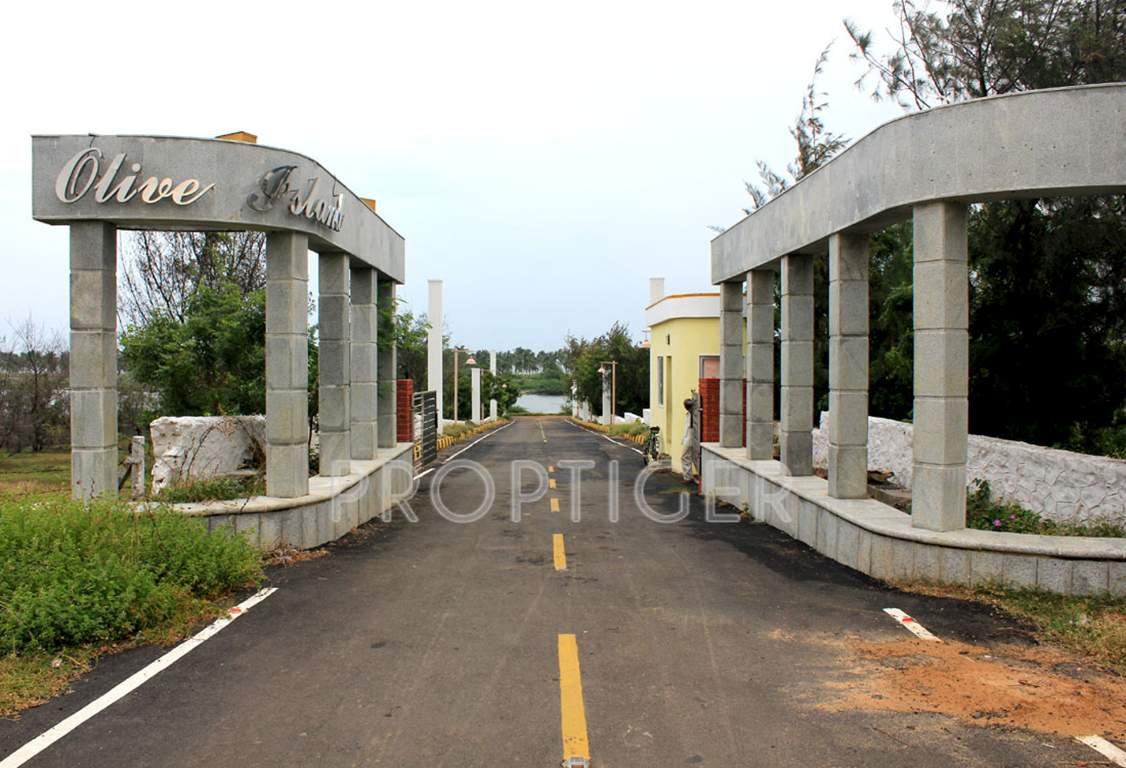  island Images for Main Other of Olive Island