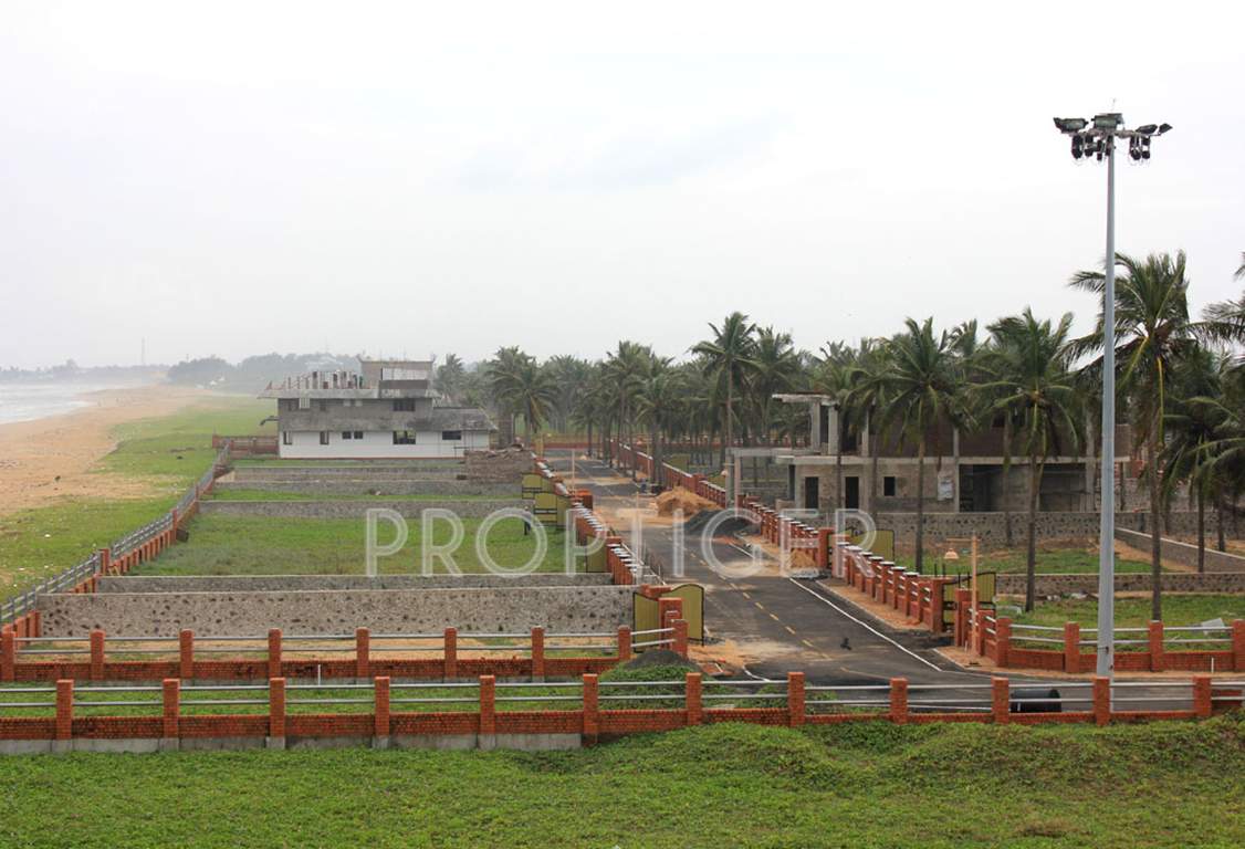  island Images for Main Other of Olive Island