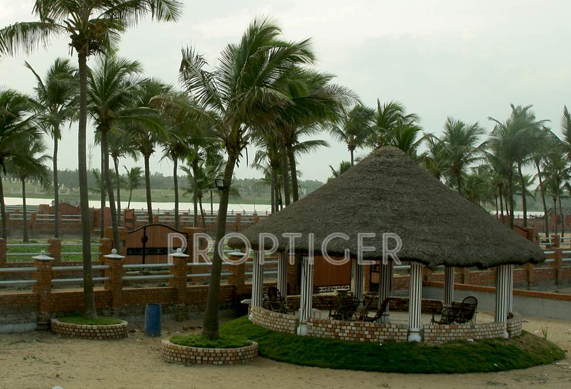  island Images for Main Other of Olive Island