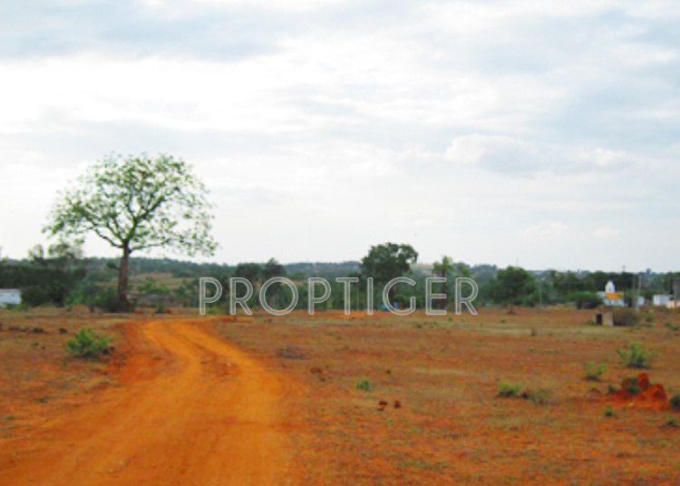 Images for Main Other of KBL Century