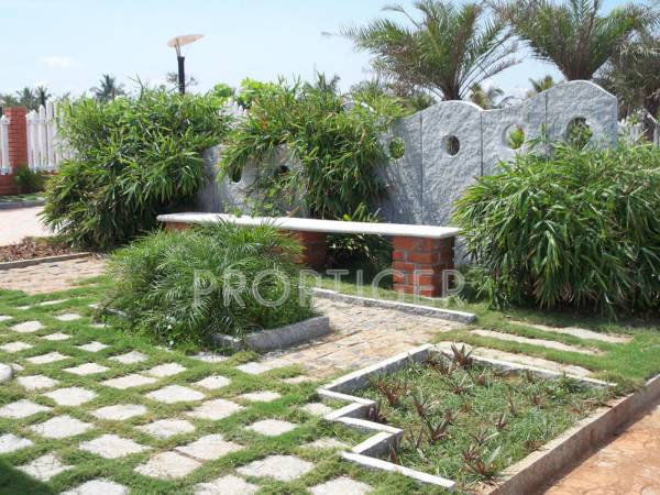 Images for Main Other of Olive Palm Beach