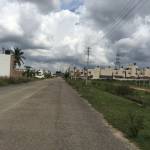 Images for Elevation of KBL Gardenia gardenia Images for Elevation of KBL Gardenia