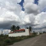 Images for Elevation of KBL Gardenia gardenia Images for Elevation of KBL Gardenia