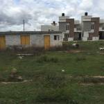 Images for Elevation of KBL Gardenia gardenia Images for Elevation of KBL Gardenia