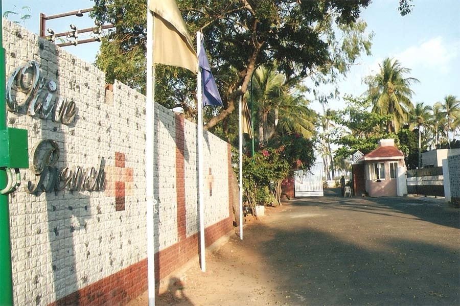  olive beach Elevation