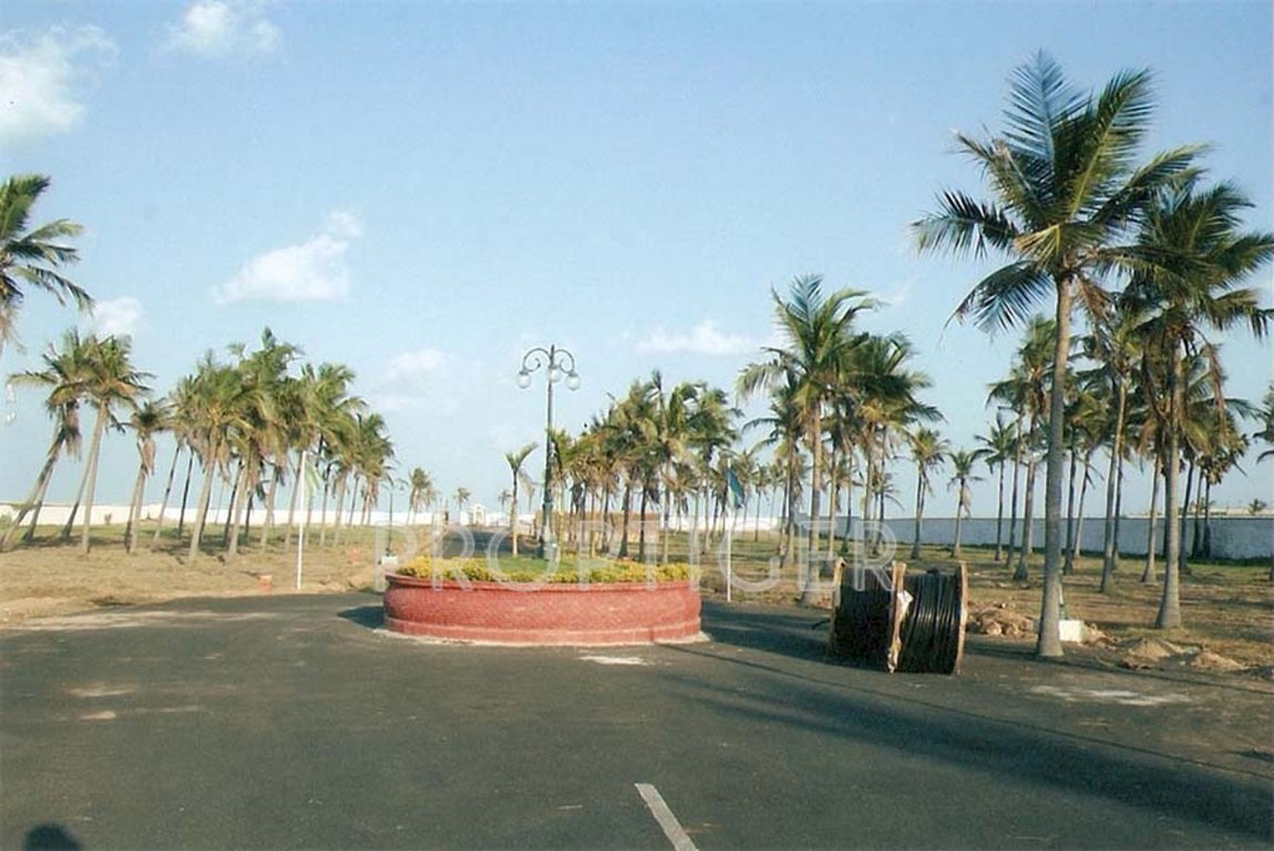 Images for Main Other of Olive Olive Beach