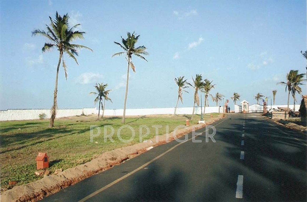 Images for Main Other of Olive Olive Beach